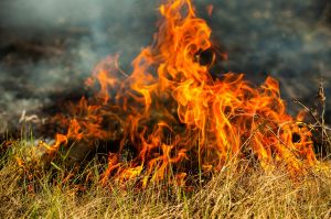 North Dakota Stockmen’s Association and Foundation to provide wildfire aid, launch disaster relief fund